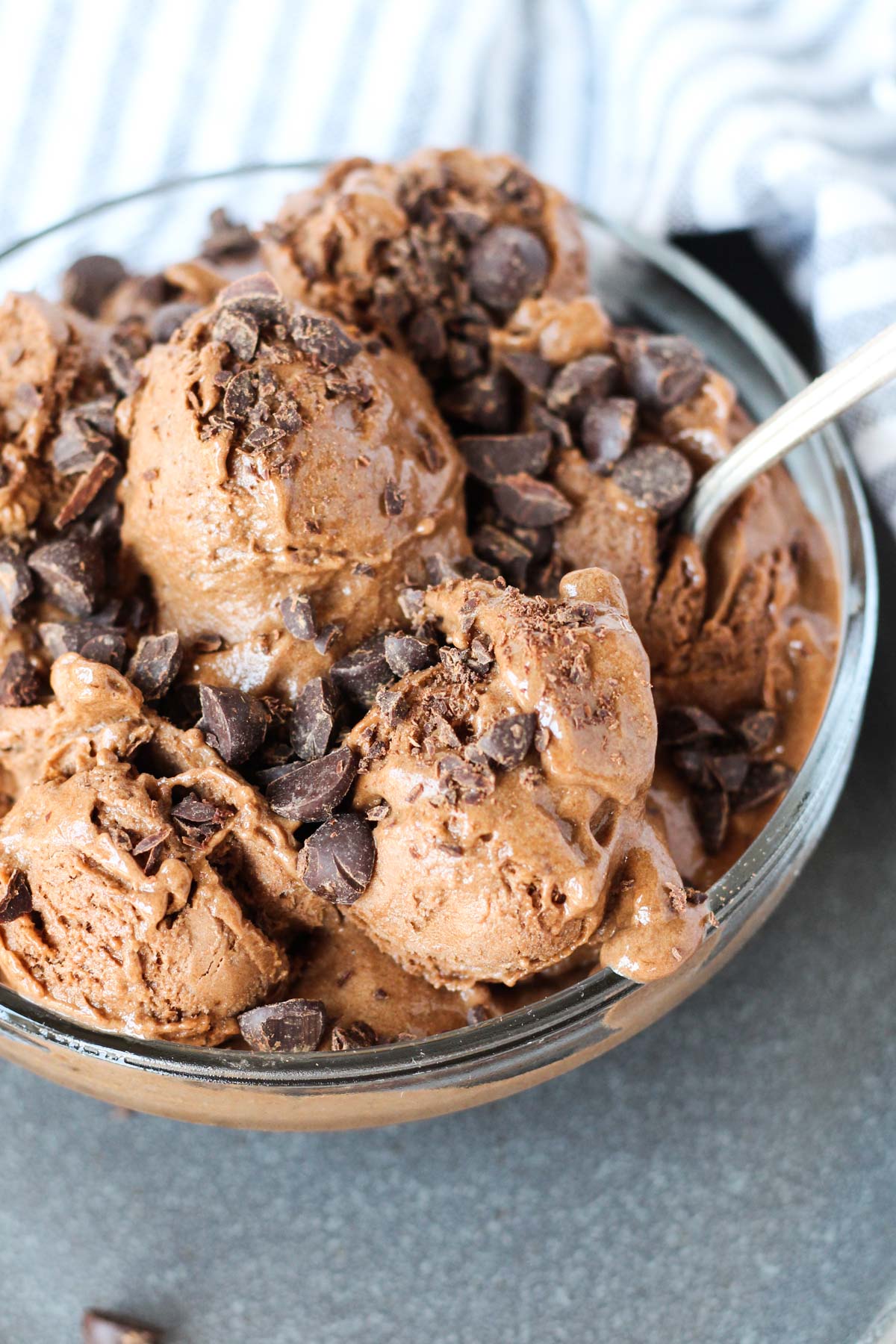Vegan Chocolate Chocolate Chip Ice Cream