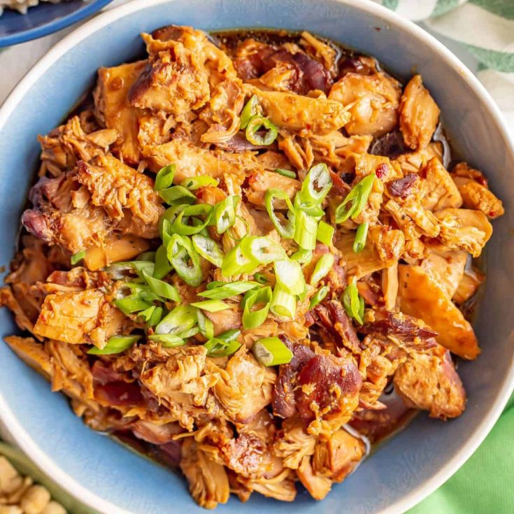 SLOW COOKER HONEY GARLIC CHICKEN