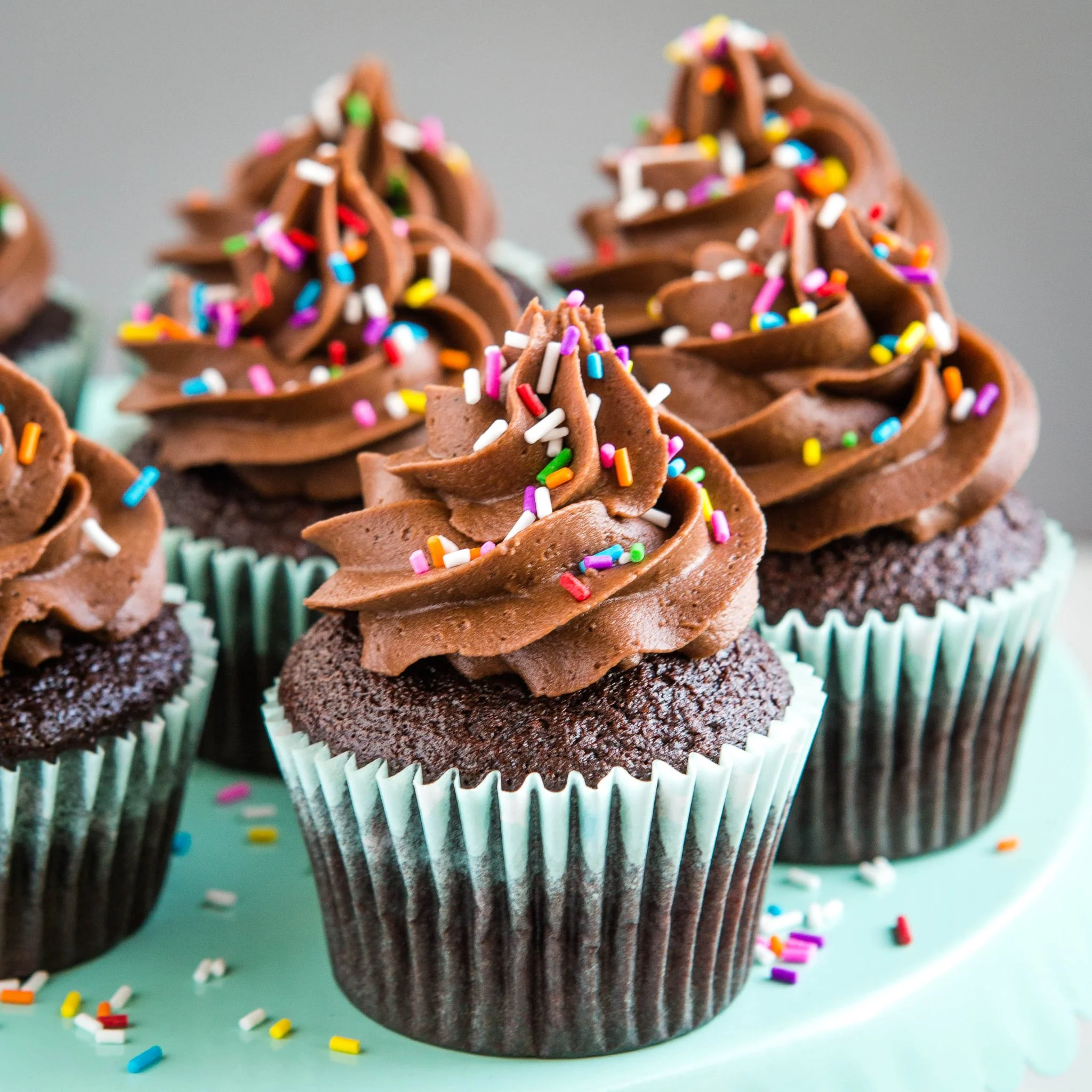 Chocolate Cupcakes