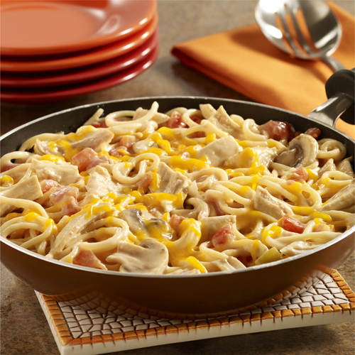 LEFTOVER TURKEY TETRAZZINI